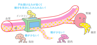 インスリンの働き